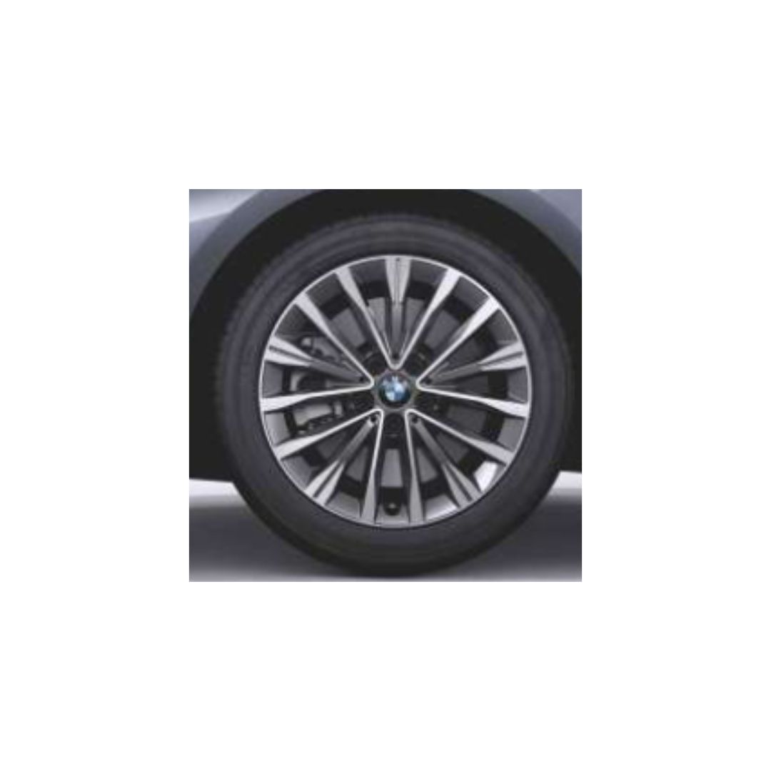 Vielspeiche 547 -1.jpg